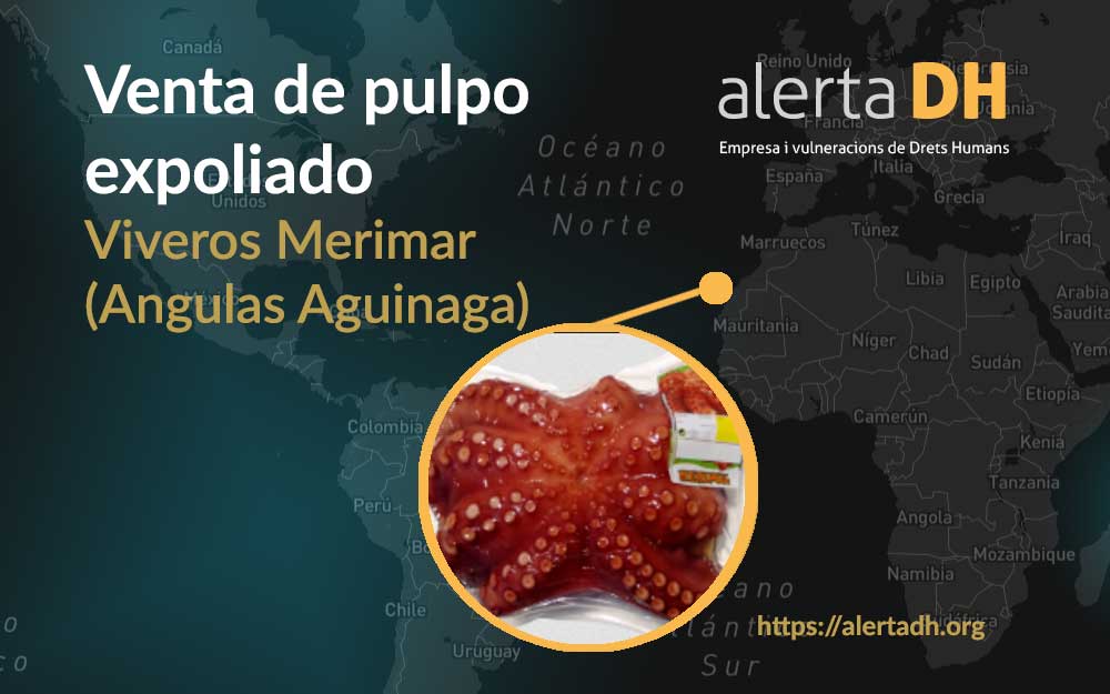 ObservatoriDHE's tweet photo. ⚡️Publicamos, junto a @SosSaharaOrg, tres casos de impunidad corporativa en el contexto de la ocupación ilegal del #SaharaOccidental por parte de Marruecos.
🔎Encuéntralos en la base de datos #AlertaDH 👉🏿https://t.co/cVZmjg1Dxu
#EmpresaiDH https://t.co/tYA2Ij6eRP