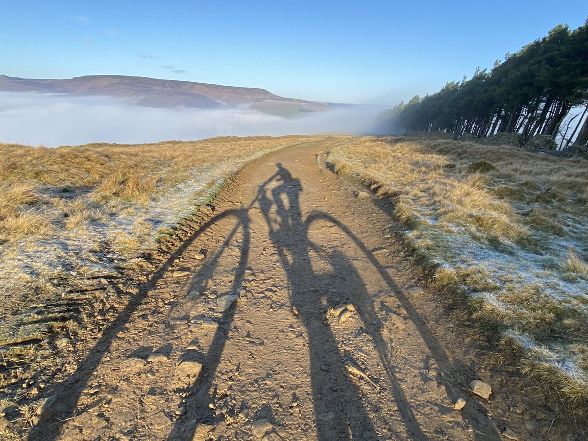 Stephen Morrison tweet media