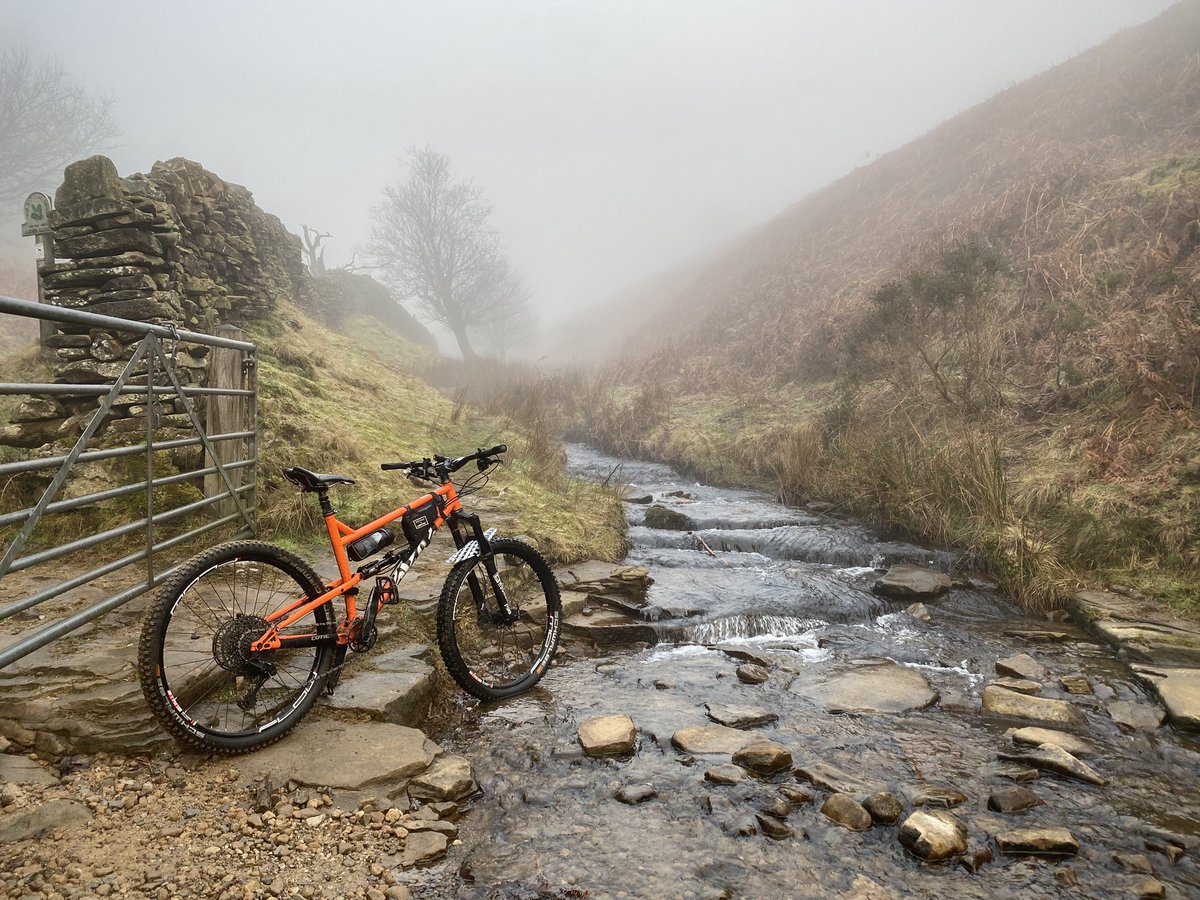 Stephen Morrison tweet media