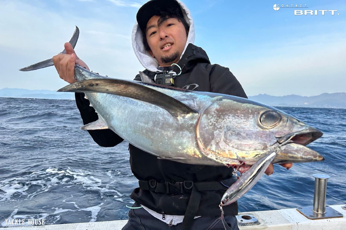 tacklehouse's tweet photo. 釣りいこchannelの豊田様より釣果写真とメッセージを頂いておりましたのでご紹介します。
https://t.co/4Jngf38w69
#タックルハウス #tacklehouse #ブリットペンシル #CBP145 #ビンチョウマグロ #トンボキャスティング #トンキャス #三重県 #尾鷲 遊漁船 #SPLASH 様 https://t.co/zEK02xE0iD