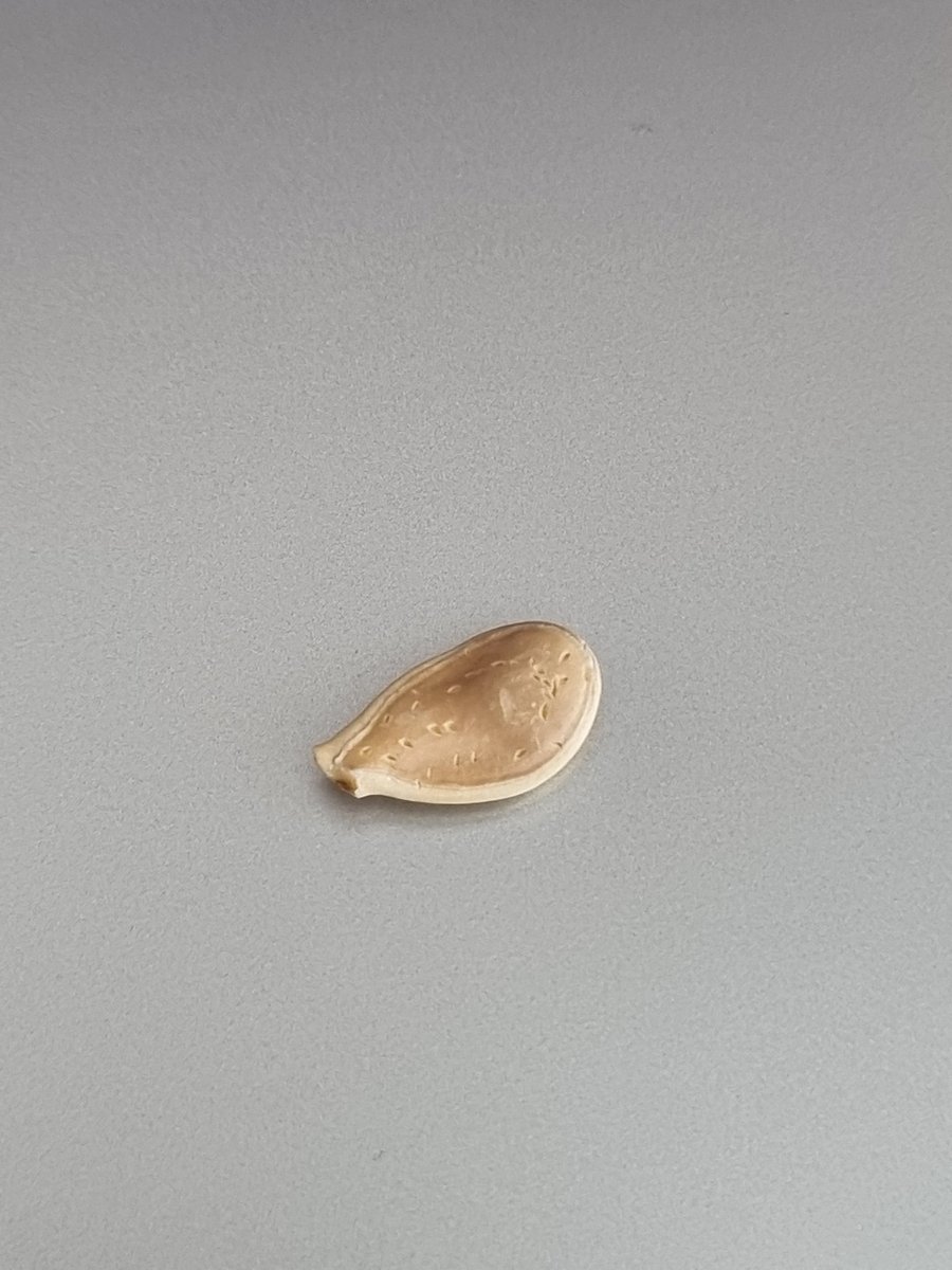 깔 줄은 모르는데
먹고는 싶었나봄