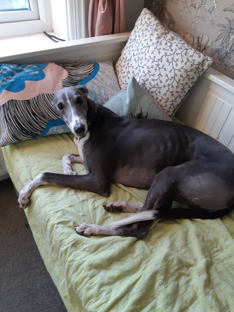 Gemma Bridge tweet media