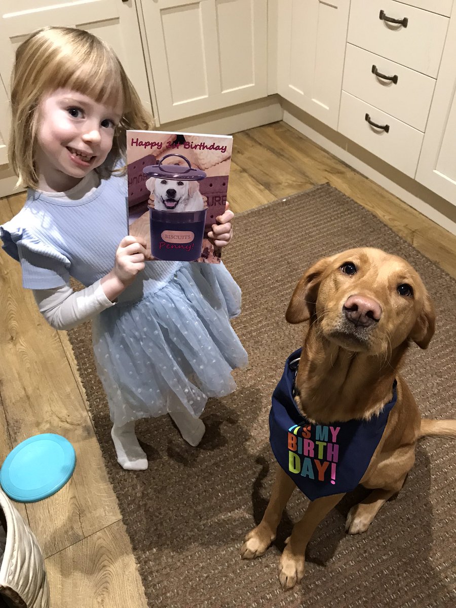 raquelrat's tweet photo. Happy birthday Penny! 1 today! 🐶🎂 https://t.co/rykUvBxya0