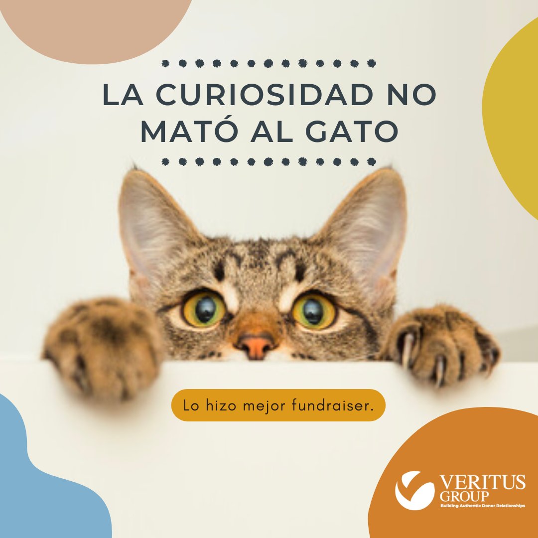 La #curiosidad es una de las habilidades que más demandan las empresas hoy en día y que más se agradecen en un/a #fundraiser.
Lee mi post en LinkedIn  | bit.ly/3xovAh0