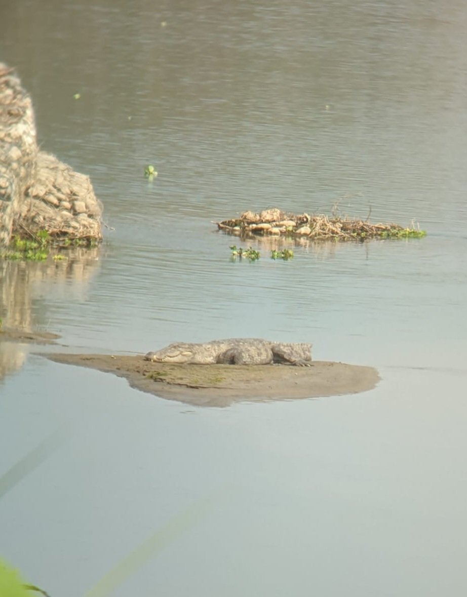 Cathy Williams tweet media