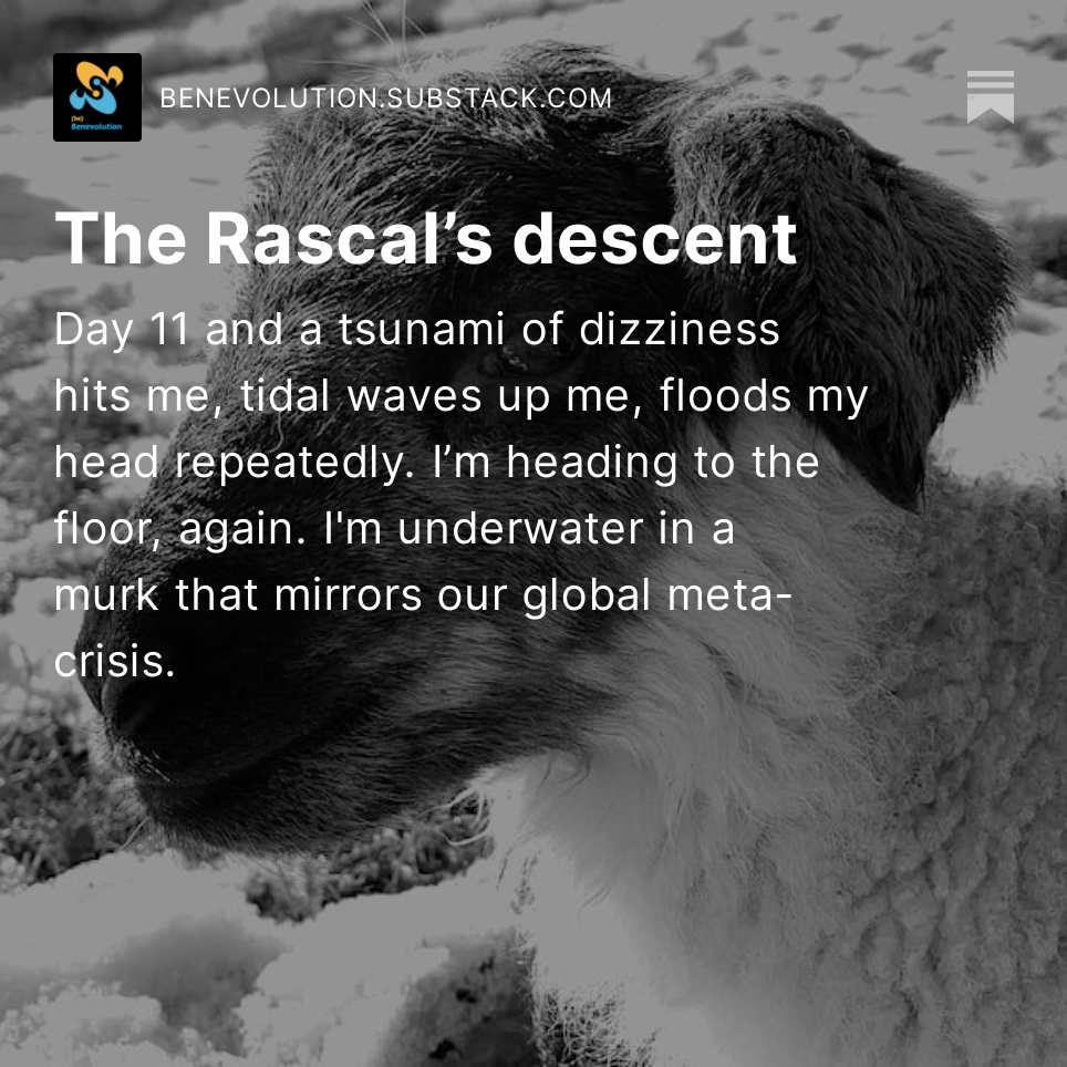 simondivecha's tweet image. Act 1, Scene 3, of the rascal, Descent. What can we do with paradoxical murk? benevolution.substack.com/p/the-rascals-…