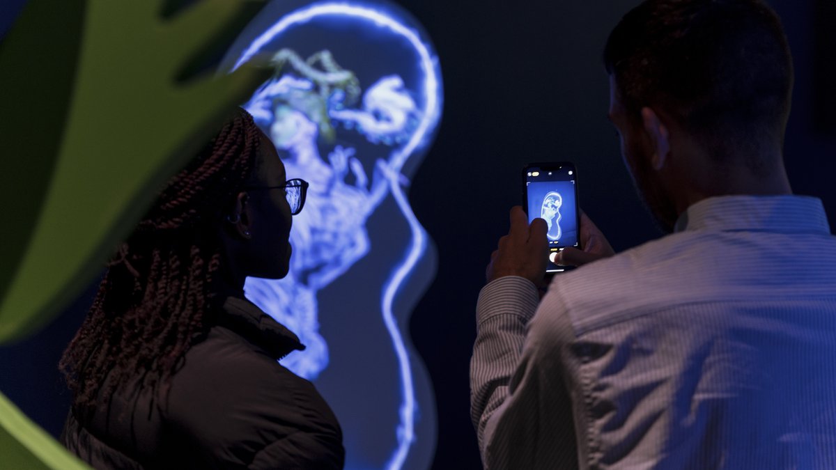 FACT_Liverpool's tweet photo. 🌱 Job opportunity! 🎛️

We are looking for a creative storyteller to lead our digital content, social media and support our marketing campaigns. Apply now to be our next Digital Content &amp; Marketing Officer!

Deadline 〰 Thu 9 Mar
Details → https://t.co/1gw1lzOZlS https://t.co/HaxqB51SxY