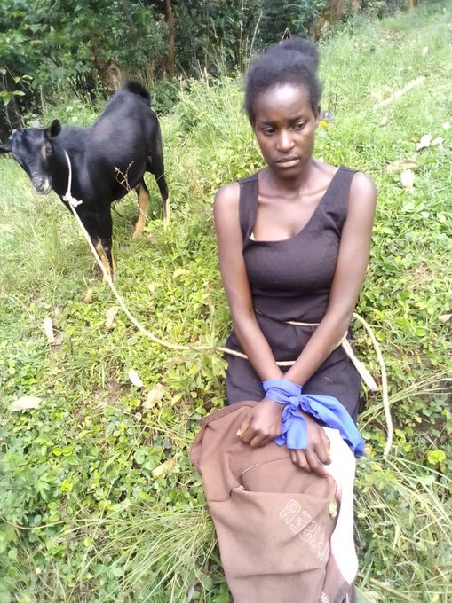 This woman was caught in Ibadan using hands from the legs of goat, then no one knew the skirt in her head used amidst of CBN and FG told the goal for Emefiele to APC Governors even Seyi Makinde went to Bodija for him. 💔💔