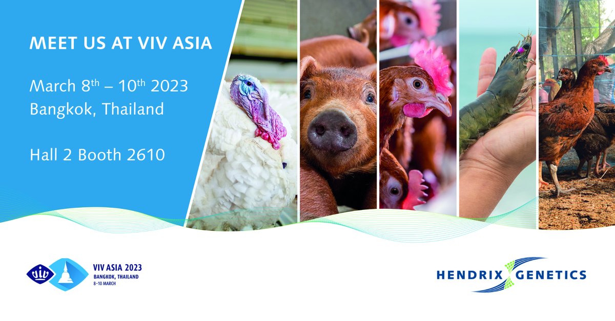 Visiting VIV Asia @vivworldwide next March 8-10? Let's meet in Bangkok! Meet the Hendrix Genetics team in Hall 2 at booth 2610. Click here to contact our team and discover our products: bit.ly/3S4JmyL 
See you there!
#vivasia #tradeshow #sustainablebreeding