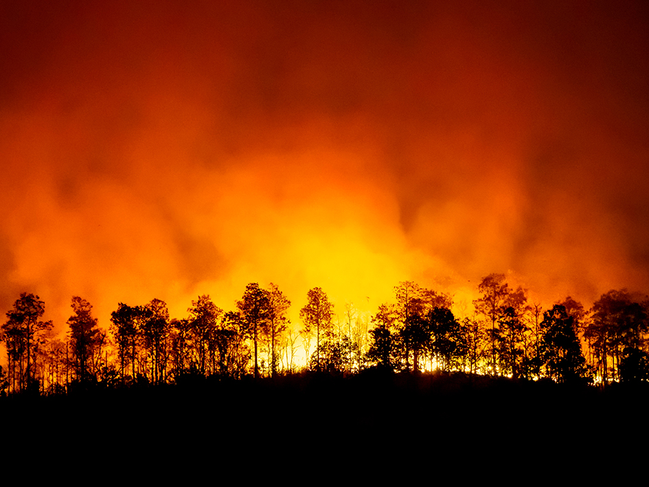 ctforestal's tweet image. 🔥 &quot;Climate teleconnections influence fires at a global scale&quot;
🔄The relationships between climate teleconnections can help to anticipate the seasons of great fires, favoring coordinated decision-making for the prevention and extinction of fires 
bit.ly/3lHhBA9