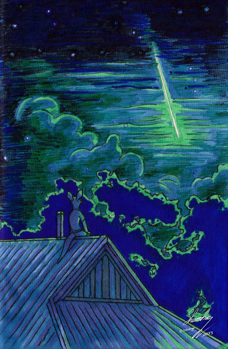 littlebuggo's tweet photo. I saw one of these recently...  yes, I made a wish⭐️☄️
#furryart #furries #kangaroo #meteor #stars https://t.co/rYcn8sQg8W