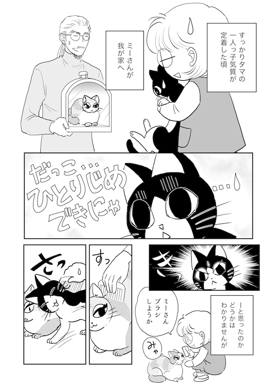 現在セール中の「タマたま猫生活」 Twitterではちょくちょく投稿しているこんなマンガをまとめたものです。よろしければぜひ #タマたま猫生活 #猫のいる暮らし 1/2