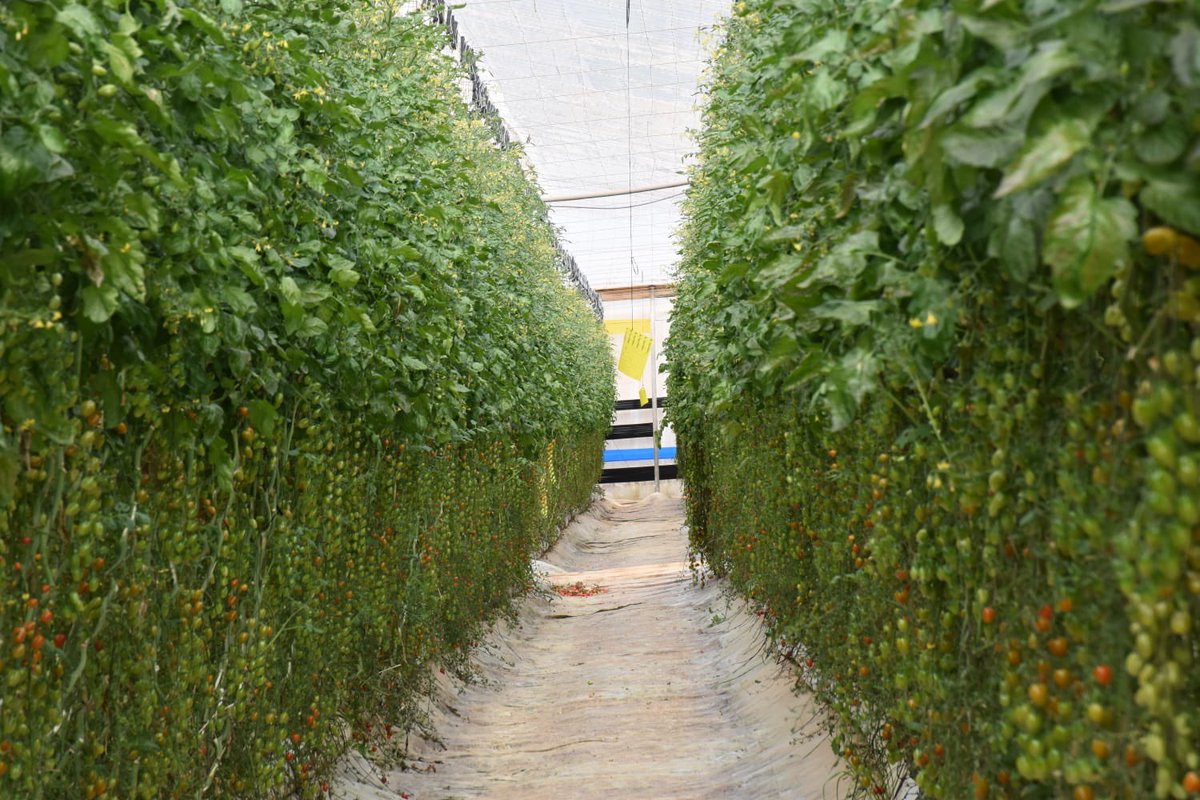 Ed Bowers Burbank tweet media