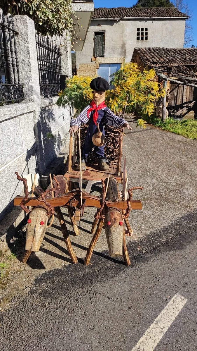 Seguimos lembrando as vellas tradicións do entroido en #Toén. Segundo nos comenta Julia veciña de Puga: 

"En Puga a tradición era que si o martes de entroido alguén estaba traballando nas viñas, ían a buscalos e tiñan  que invitalos a merenda na adega...⬇️