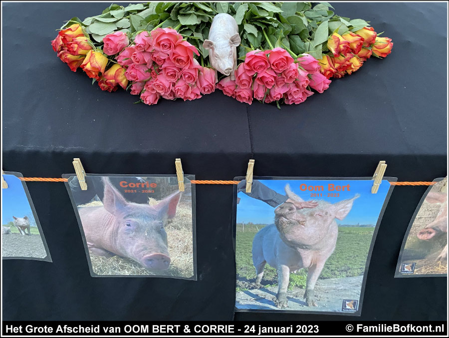 FamilieBofkont's tweet photo. OOM BERT & CORRIE – Uitvaart
Ik belde de Rendac.
“Het gaat niet, vandaag gaat het niet, kan de chauffeur nog omdraaien, excuus voor het ongemak, ik betaal alle extra kosten.”
VERDER
https://t.co/8c2mzwjZq6
#biggetje #big #varken #boerderijdieren #afscheid #uitvaart #rendac https://t.co/4UZNYJeTCR