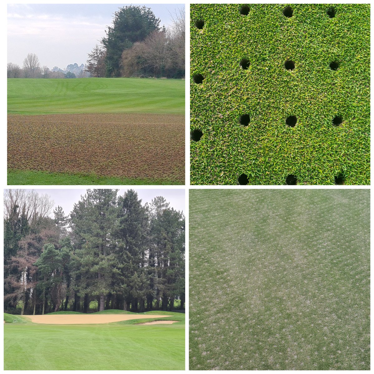 Early season greens aeration <a href="/dundalkgolfclub/">Dundalk Golf Club</a> complete ✔️1st time pulling a core in 3 years.1/2 inch tine to a depth of 4 inches and filled with a sand/zeolite mix. Surfaces will be overseeded next week with creeping bent. Now for mother nature to play her part 🤞#AlwaysImproving