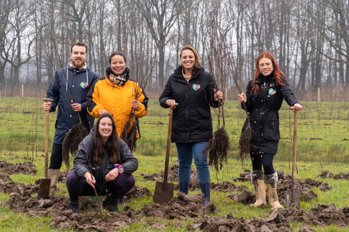 bunq's tweet photo. In just 3 years, the bunq Community officially planted an astounding 10 million trees 🚀 To celebrate, we're bringing our reforestation efforts even closer to home &amp; planting our first trees in Europe just an hour from Amsterdam in the Leersum forests 🌳 #sustainablebanking https://t.co/VPqU0g3yZd