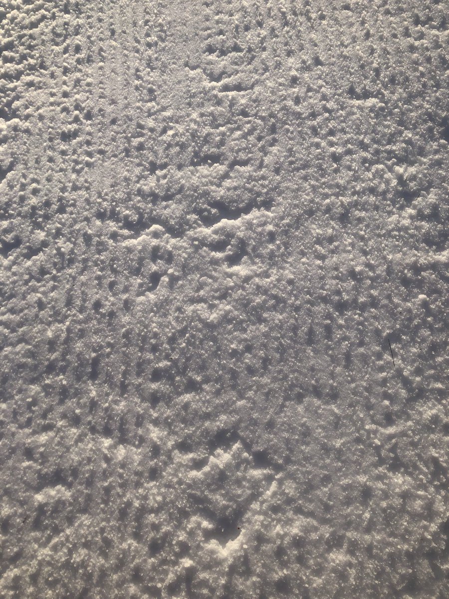 NipissingTrails's tweet image. We will have to work in increments to crush up this ice with skidoo grooming. 

This is not a picture of perfect corduroy, but it will be very skiable and fast. #IncrementalGains