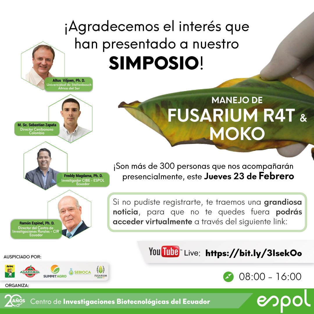 CIBE_ESPOL (@cibe_espol) on Twitter photo 🔔 ¡Tenemos buenas noticias! 
Si no alcanzaste a registrarte, podrás acceder virtualmente a través del siguiente link➡️ bit.ly/3IsekOo 
🤝 ¡Uniendo esfuerzos para salvar la industria bananera y platanera! 🍌🌱
#FusariumR4T #CibeEspol #SaveTheBanana 🔔 ¡Tenemos buenas noticias! 
Si no alcanzaste a registrarte, podrás acceder virtualmente a través del siguiente link➡️ bit.ly/3IsekOo 
🤝 ¡Uniendo esfuerzos para salvar la industria bananera y platanera! 🍌🌱
#FusariumR4T #CibeEspol #SaveTheBanana