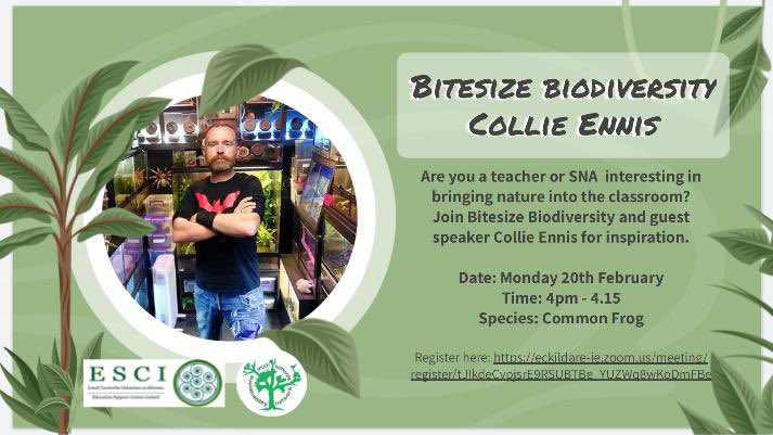 Don’t miss out on Mondays’ Bitesize Biodiversity session with @collieennis! CPD every Monday at 4pm for 15mins. Collie is our guest presenter for Monday. Register here 👉 eckildare-ie.zoom.us/meeting/regist…