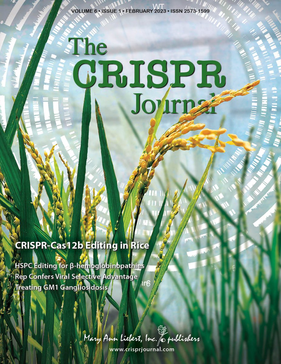 CRISPRjournal's tweet photo. Our latest issue is online now -- entering our 6th year of publishing!
Another brilliant cover courtesy @monooyee 
https://t.co/wu2iLNm23S https://t.co/Bpg30TiEuH
