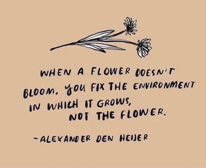 drlenapearlman's tweet image. 