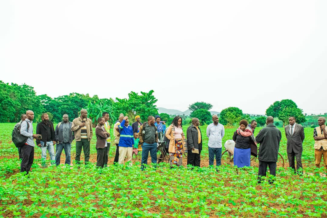 ProgrammeTrade's tweet photo. TRADEProgramme is considering climate-smart agriculture (CSA) initiative as a tool to improve the integration of agriculture development and climate responsiveness. TRADE programme aims to achieve food security and broader development goals under a changing climate. https://t.co/ziZ8P3V1z8
