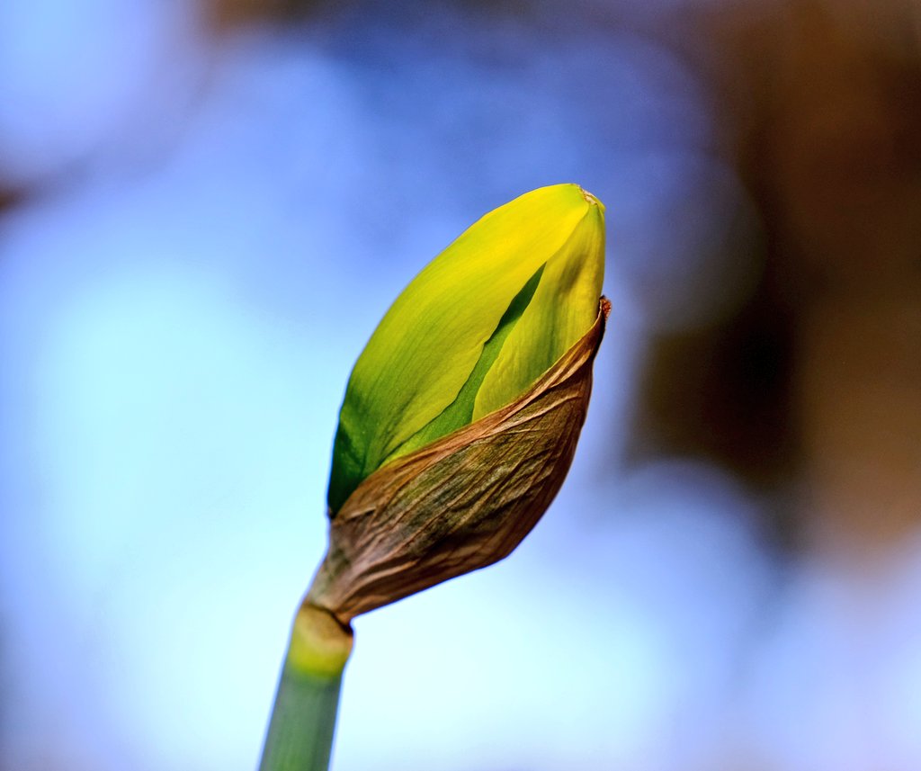 Mary ✨️ tweet media