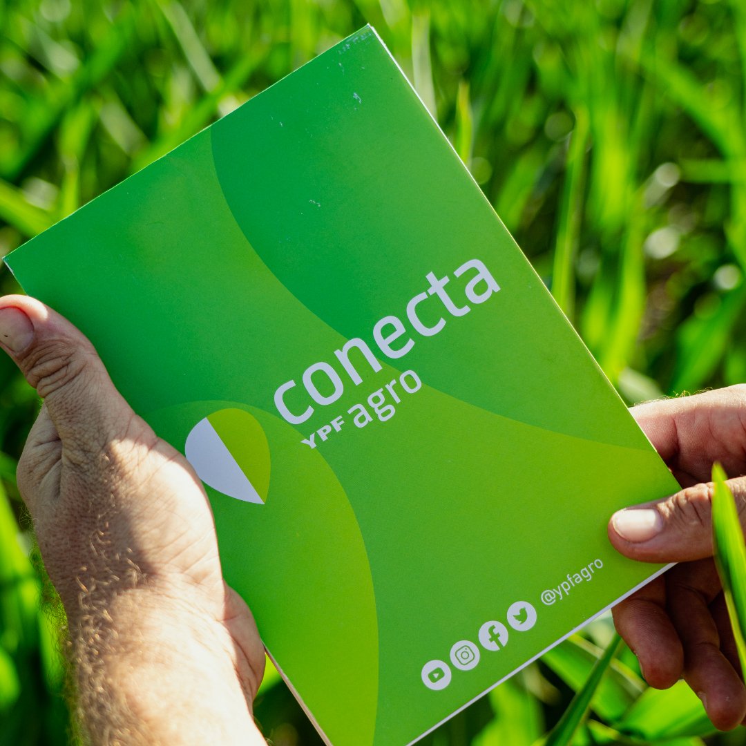 YPFAgro's tweet photo. Una nueva jornada CONECTA está por comenzar 🌱 ✴️

Hoy nos encontramos en General Villegas 

👉¡No te la pierdas! 👏

#SomosYPFAgro #ConectaYPFAgro https://t.co/7jD347Bp9p