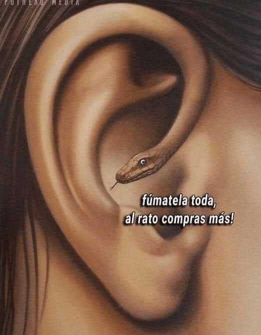 ElAcidulce tweet picture