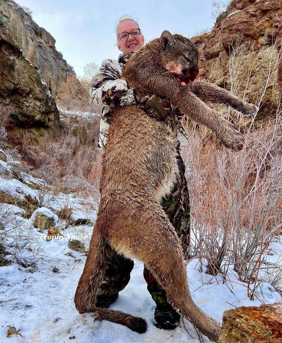 XposeTrophyKilling (@trophyxpose) on Twitter photo Amy Stevens, grandmother of 3 (Ontario), went to Nevada on a "great adventure." She got a "beautiful" tom on this "dream" hunt. So many descriptive words just to describe the killing. GREED & EGO!🤬
🙏🏼RT
#BanTrophyHunting
<a href="/rickygervais/">Ricky Gervais</a> <a href="/tarastrong/">tara strong</a> <a href="/SARA2001NOOR/">Sara✌️💙🍉peaceFOReveryone</a> <a href="/Lin11W/">🌱🌹❤️ Anonymous for the voiceless ❤️🌹🌱</a> <a href="/_Pehicc/">PehiccⓋ</a> Amy Stevens, grandmother of 3 (Ontario), went to Nevada on a "great adventure." She got a "beautiful" tom on this "dream" hunt. So many descriptive words just to describe the killing. GREED & EGO!🤬
🙏🏼RT
#BanTrophyHunting
<a href="/rickygervais/">Ricky Gervais</a> <a href="/tarastrong/">tara strong</a> <a href="/SARA2001NOOR/">Sara✌️💙🍉peaceFOReveryone</a> <a href="/Lin11W/">🌱🌹❤️ Anonymous for the voiceless ❤️🌹🌱</a> <a href="/_Pehicc/">PehiccⓋ</a>