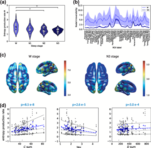 PhysRevE's tweet photo. Entropy production of multivariate Ornstein-Uhlenbeck processes correlates with consciousness levels in the human brain, Matthieu Gilson, Enzo Tagliazucchi, and Rodrigo Cofré #StatisticalPhysics #Thermodynamics #Neuroscience https://t.co/6mpWMHgvDi https://t.co/7v04iOj8l4