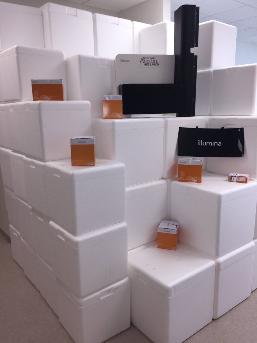 BioMath's tweet photo. @AntoBeck @DrJasPlummer @OmicsOmicsBlog @CatharineAquino @julemieux1 @agbt @GENbio Gone are the days of @illumina building box art, a very good thing to  have gone :) #WallofBoxes https://t.co/23lq2uGuvk