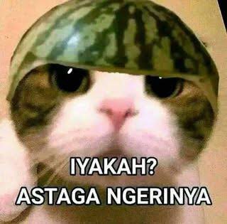 rskymh's tweet photo. @Hafiz_kurnwan @orangbiasamales @riskaputriY23 https://t.co/S6WYif2er5