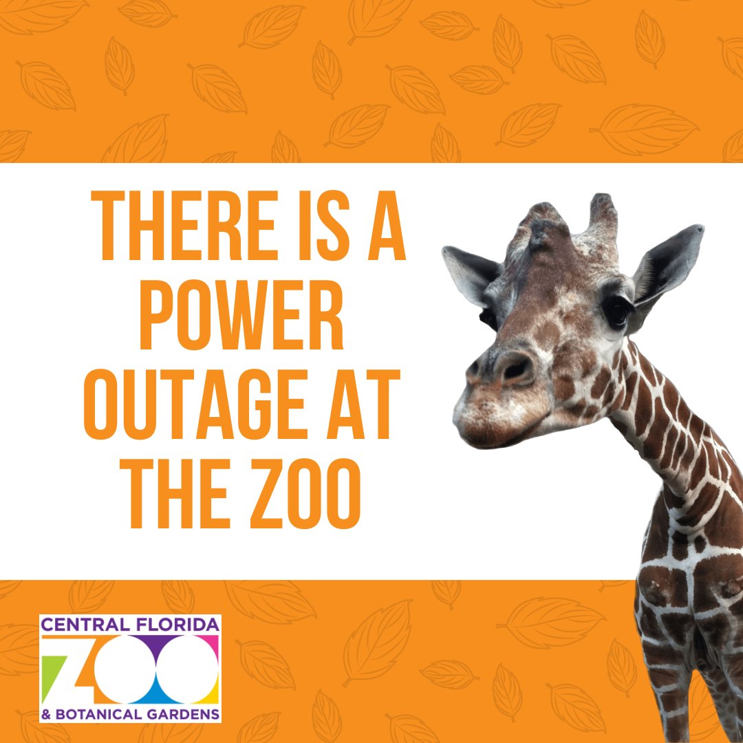 Central Florida Zoo on Twitter "There is currently a power outage in