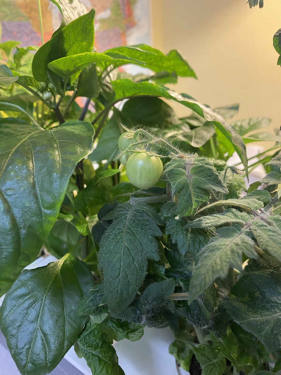 Heather Sevier tweet media