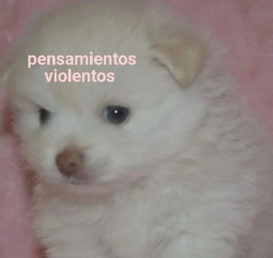 más_0_menos tweet media