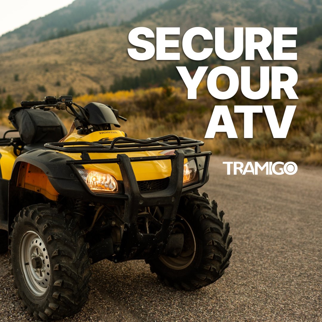 Tramigo Ltd tweet media
