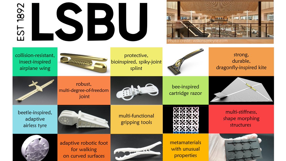 Hamed Rajabi tweet media