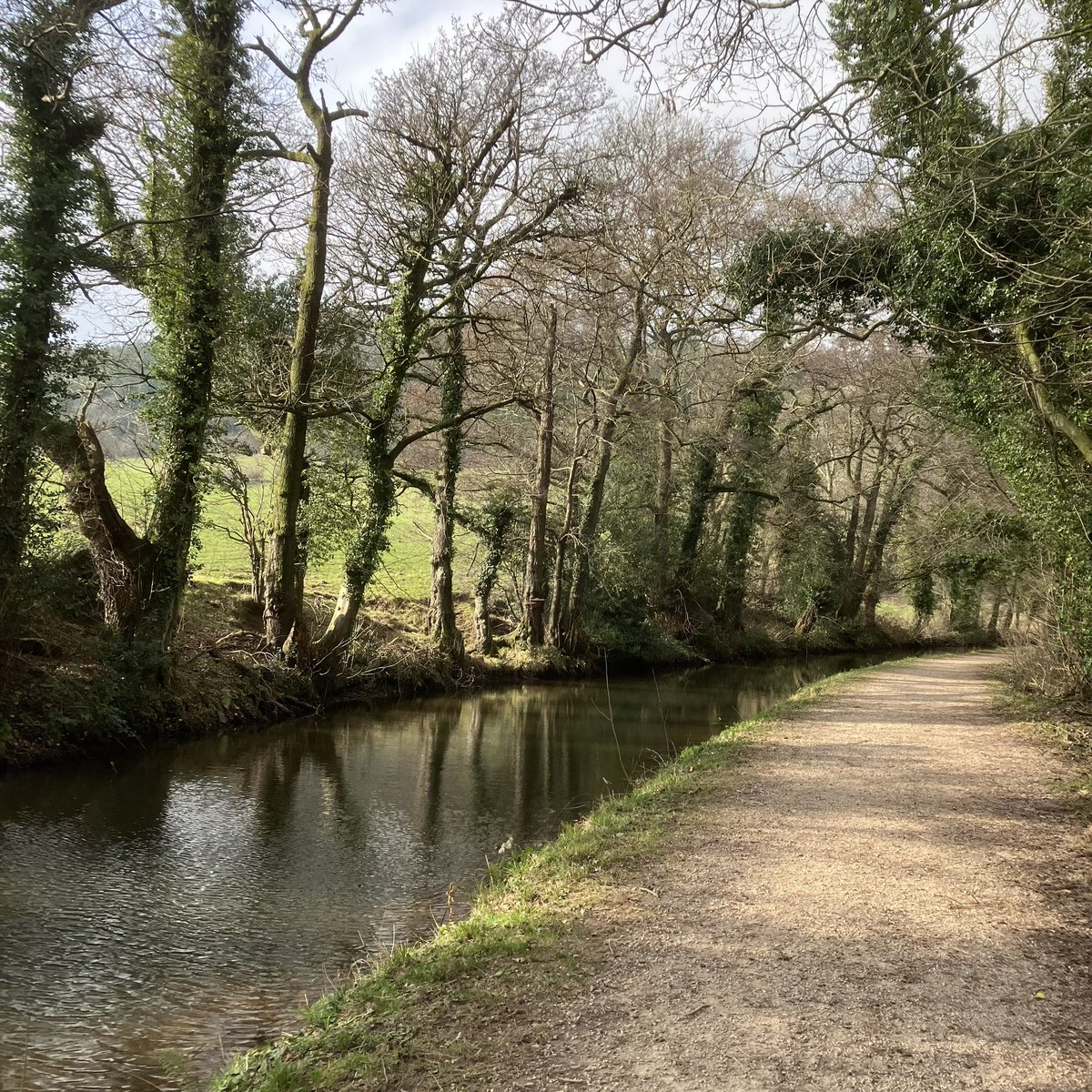 janet_t_55's tweet photo. …what I got up to yesterday…

#ThisGirlCan #ThisGirlRuns #7Miles #LongRun #EasyPace
☺️🏃🏻‍♀️🐌7️⃣ https://t.co/I1eNOLI4Qt