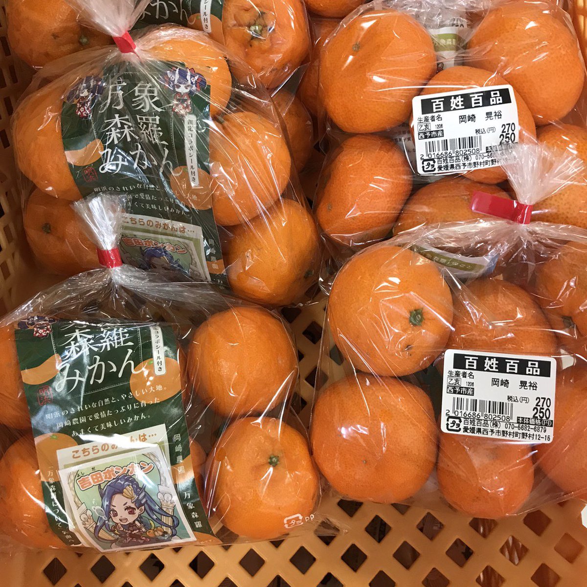 anetarouNFT's tweet photo. 🍊 #万象森羅みかん🍊

南柑４号と吉田ポンカンが先日販売開始しましたが
なんと！南柑４号はすでに完売してしまったとのこと！！✨

お近くの方はぜひシールと一緒にお買い求めください😊 https://t.co/cG3cx3fZUv