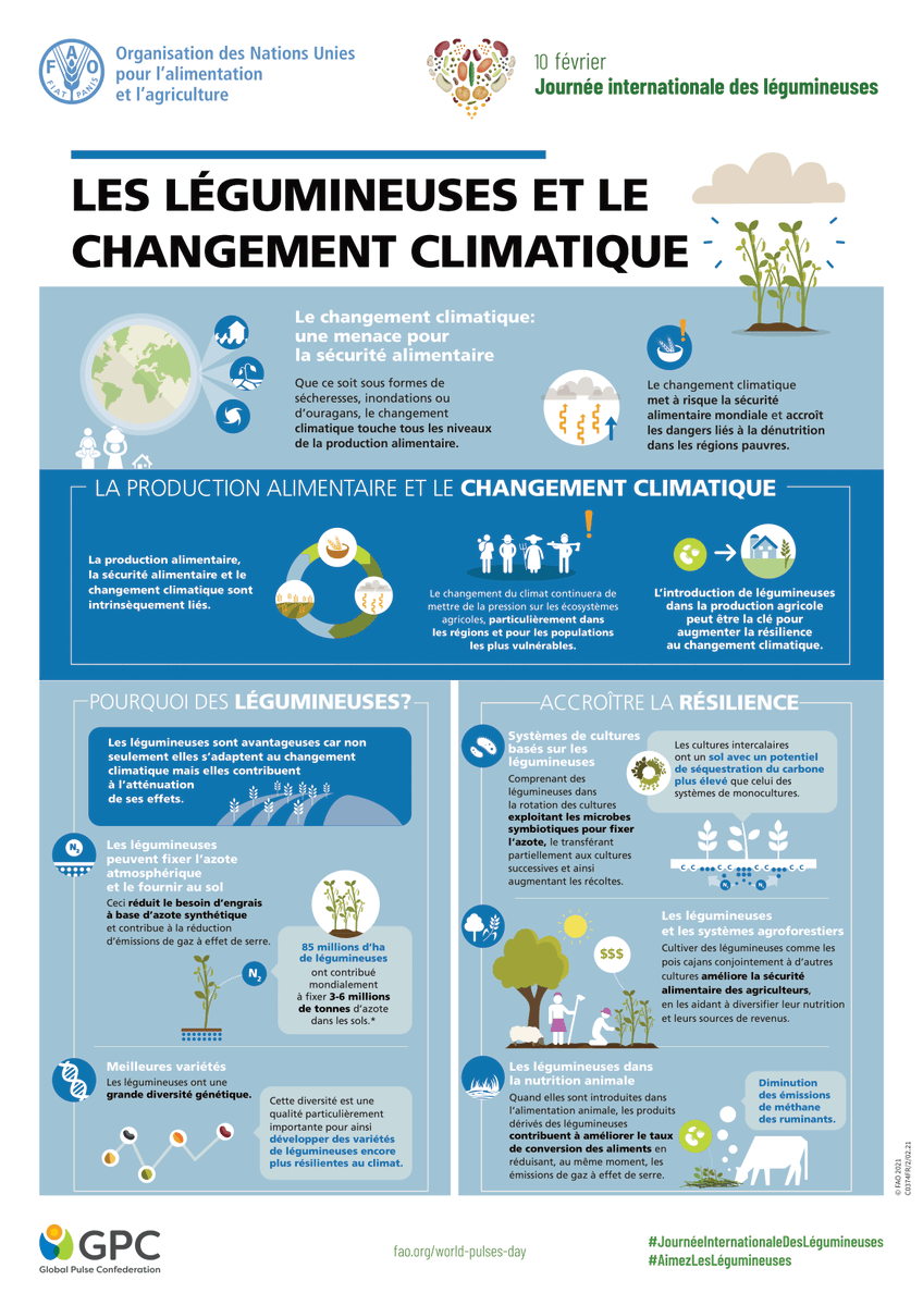 ipbesfr's tweet photo. Les légumineuses peuvent contribuer à l'atténuation du #ChangementClimatique.🌾

Leur introduction dans la production agricole peut être la clé d'une plus grande résilience au changement climatique.

En savoir + sur les légumineuses avec @FAOenFrancais 👇 https://t.co/L2U7CV05L1