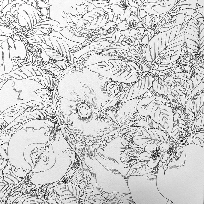 また塗り絵もできたらいいなあと思って、アウトラインメインで描いてみた!
どこがなんなのかわからなくて、塗り絵する人ってすごいなと思いました。 