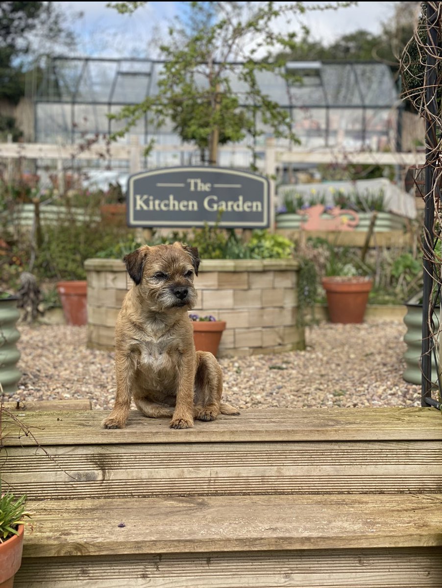 Rob Smith tweet media