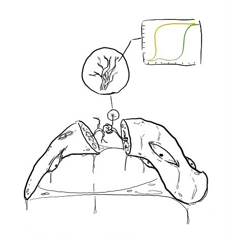 AGI Interpretability