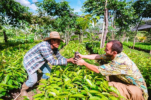 Foresta ad 'alto impatto ambientale' con 500 alberi da frutto piantati in Guatemala per #HoffmannGroup Italia nel progetto Pianti-amo il futuro in collaborazione con #zeroCO2. <a href="/hoffmann_italia/">Hoffmann Group Italia</a> #sostenibilità #ambiente #green #rinnovabili - Meccanica Plus meccanica-plus.it/foresta-ad-alt…