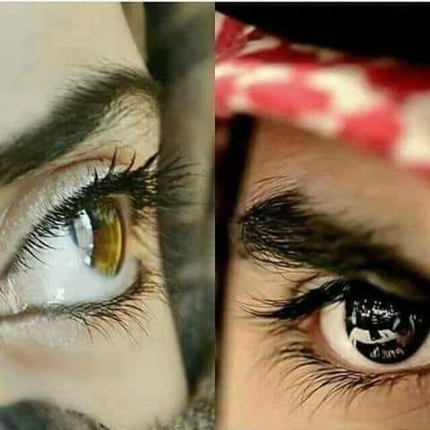 na_ef81's tweet photo. أنا دخيل عيونك المستلعنه ..
اللي على فوضى الحياة تحدّني
أنسى بها كل البشر والأمكنه
مثل الأغاني لا خذتني | تردّ https://t.co/5iK6QG3Acc