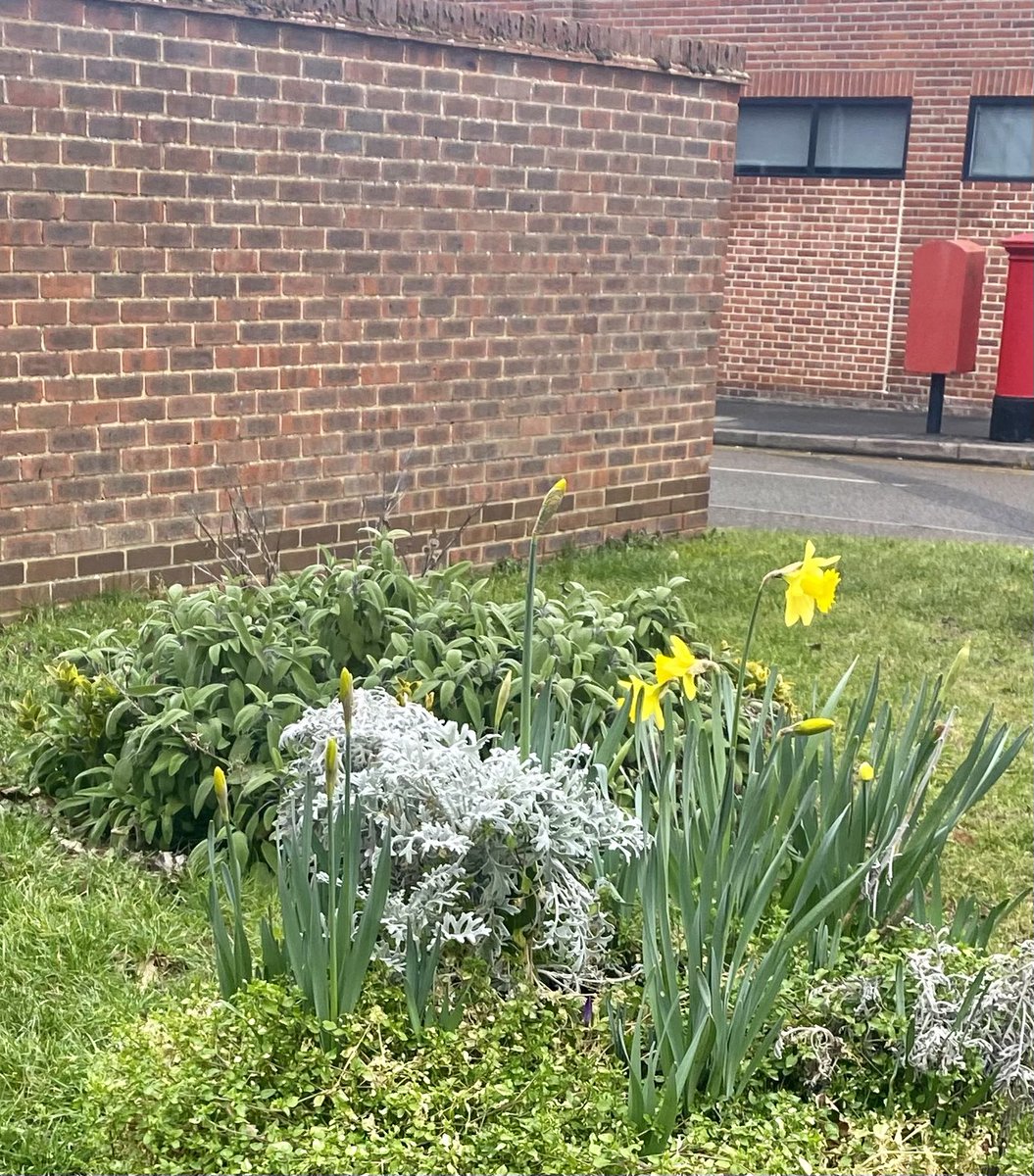 Eppinginbloom tweet media