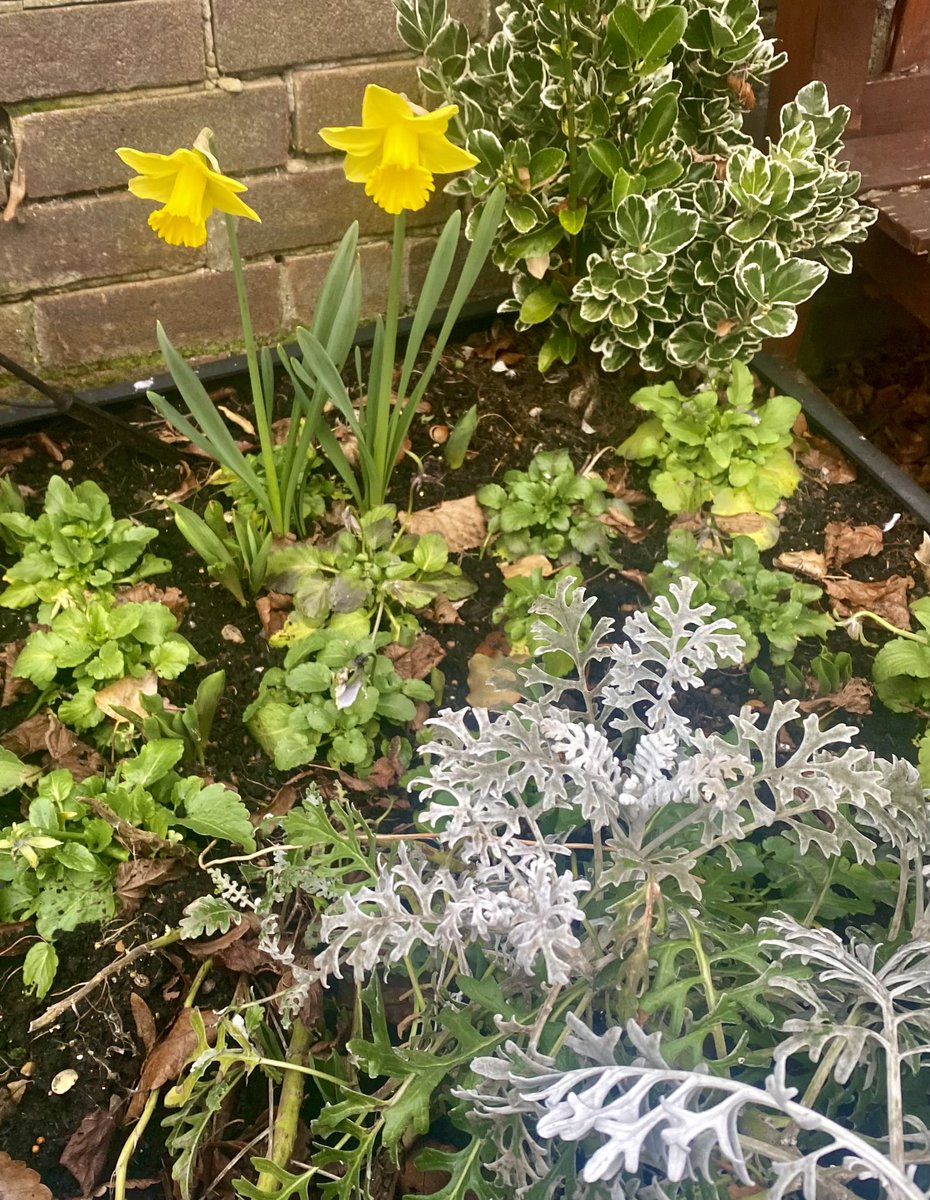 Eppinginbloom tweet media