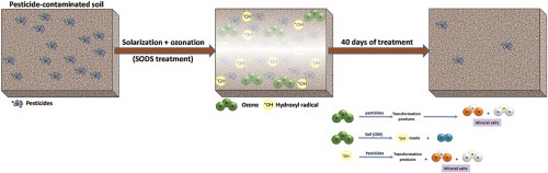📰#ScientificPublications
Remediation of pesticides in commercial farm soils by solarization and ozonation techniques

This study attempts to demonstrate the efficiency of solarization-ozonation techniques for the removal of twelve pesticides at full scale
agremso3il.eu/scientific-pub…